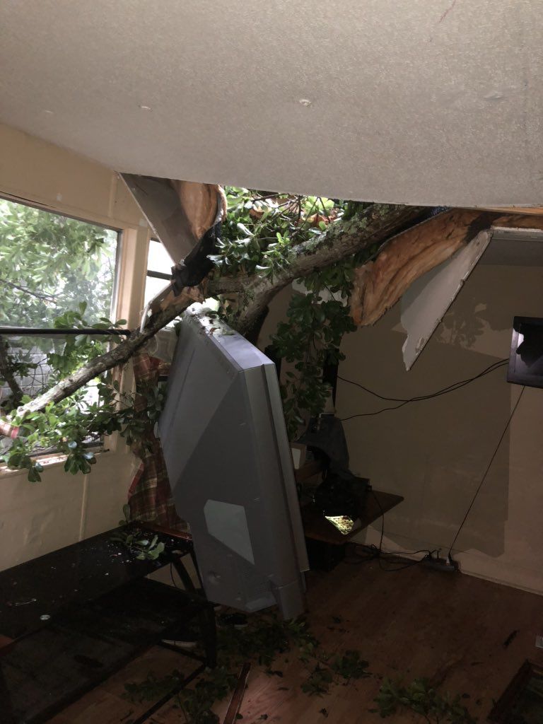 storm damage 4